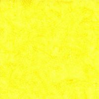 ttTONGA-B3278 CANARY